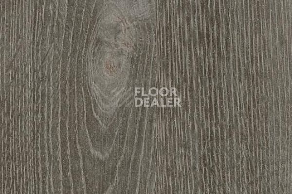 Линолеум FORBO SureStep WOOD 18952 dark grey oak фото 1 | FLOORDEALER